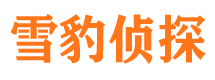 朗县找人公司